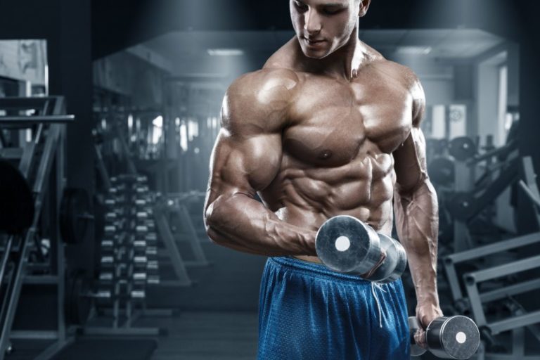 anadrole bodybuilding steroid