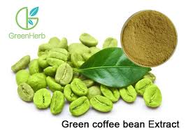 green cofee bean extract