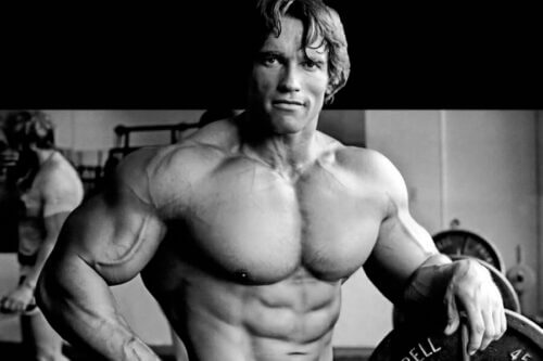 Arnold Schwarzenegger diet and workout plan