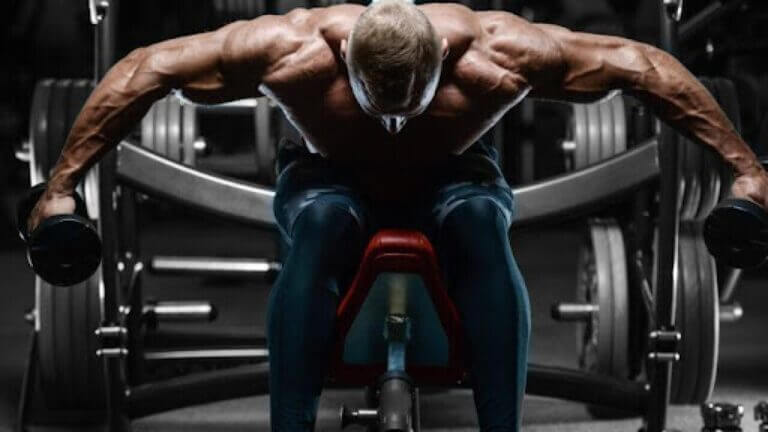 Muscle Building Supplement Stacks