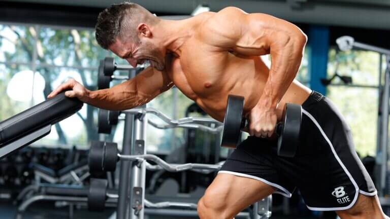 bodybuilding workouts